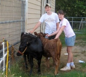 Cow Wash