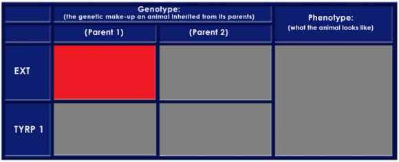 Color Table 1