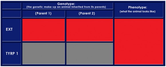 Color Table 2