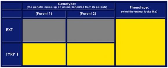 Color Table 3