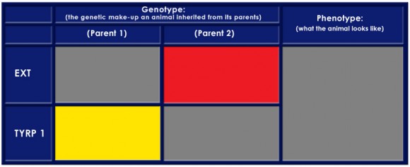 Color Table 5