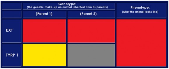 Color Table 6