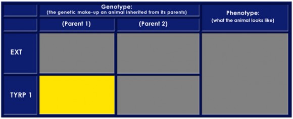 Color Table 7