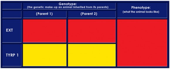 Color Table 9